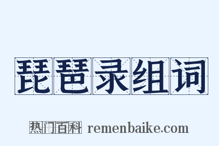 琵琶录组词是什么意思的图片